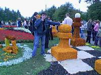 click for enlarge 640 X 480  51.0 Kb picture