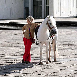 click for enlarge 600 X 600 83.7 Kb picture
