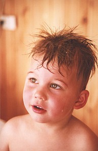 click for enlarge 579 X 893 91.7 Kb picture