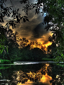 click for enlarge 750 X 1000 243.4 Kb picture