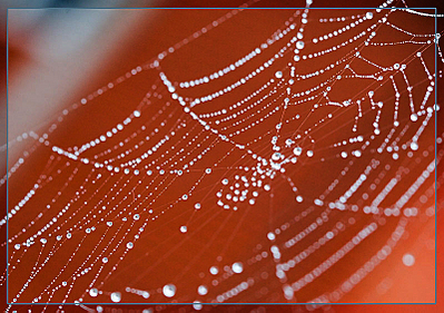 click for enlarge 800 X 563 381.0 Kb picture