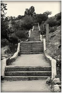 click for enlarge 539 X 800 144.6 Kb picture
