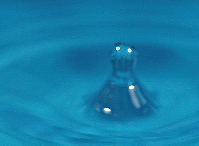 click for enlarge 800 X 588 133.7 Kb picture