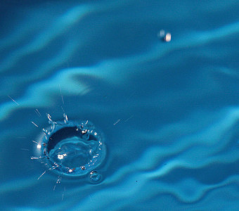 click for enlarge 800 X 705 117.4 Kb picture