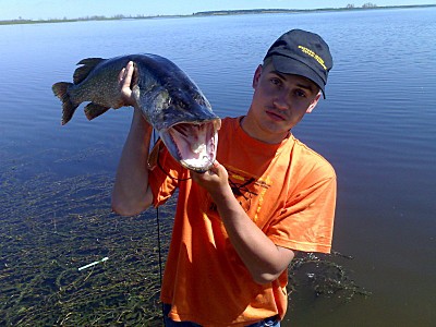 click for enlarge 800 X 600 113.3 Kb picture