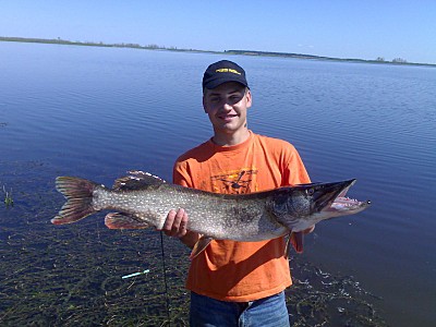 click for enlarge 800 X 600 102.6 Kb picture