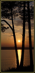 click for enlarge 429 X 900 196.1 Kb picture