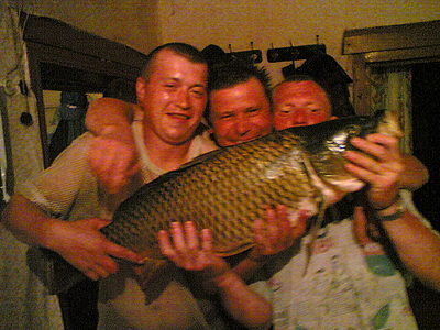 click for enlarge 1152 X 864 289.8 Kb picture