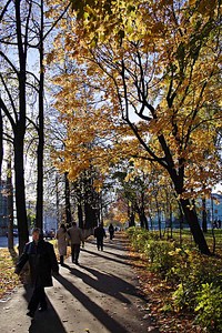 click for enlarge 600 X 900 218.6 Kb picture