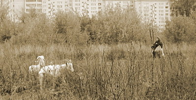 click for enlarge 900 X 460 155.0 Kb picture