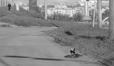 click for enlarge 900 X 519 127.4 Kb picture