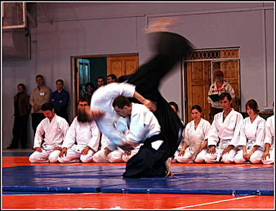 click for enlarge 800 X 612 146.3 Kb picture