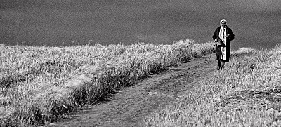 click for enlarge 800 X 362 171.0 Kb picture