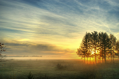 click for enlarge 800 X 532 127.2 Kb picture