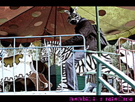 click for enlarge 791 X 600 233.8 Kb picture