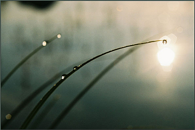click for enlarge 592 X 397 127.1 Kb picture