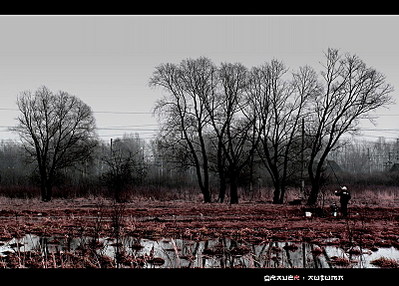 click for enlarge 800 X 573 197.0 Kb picture
