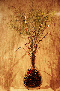 click for enlarge 600 X 900 424.1 Kb picture