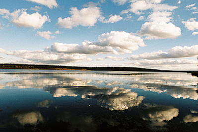 click for enlarge 800 X 533 185.1 Kb picture