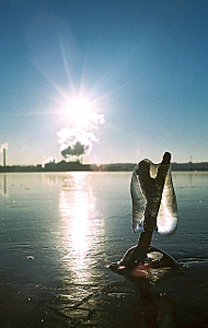 click for enlarge 406 X 640 112.6 Kb picture