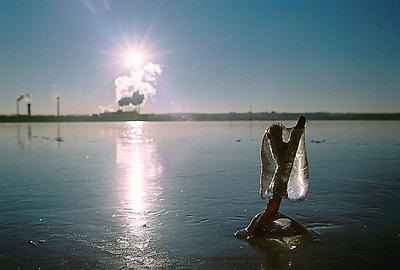 click for enlarge 700 X 473 128.8 Kb picture