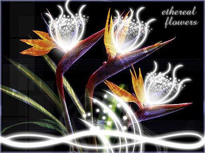click for enlarge 500 X 375 106.8 Kb picture