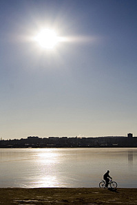 click for enlarge 433 X 650 80.4 Kb picture