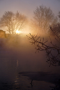 click for enlarge 600 X 900 160.4 Kb picture