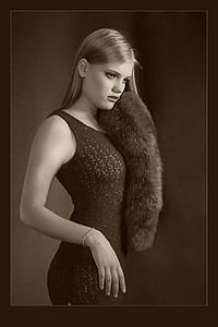 click for enlarge 500 X 750 61.2 Kb picture