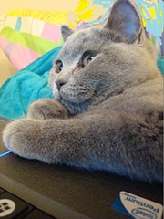 click for enlarge 1920 X 2554 339,7 Kb picture