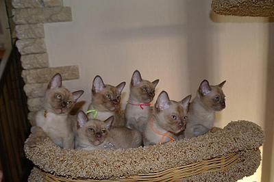 click for enlarge 919 X 612 108,4 Kb picture