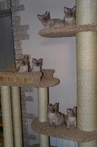 click for enlarge 612 X 919 128,2 Kb picture