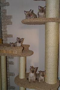 click for enlarge 612 X 919 125,2 Kb picture