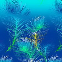 200 x 200