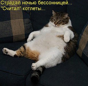 click for enlarge 700 X 680 103,5 Kb picture