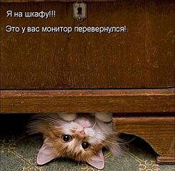 click for enlarge 520 X 507 52,4 Kb picture