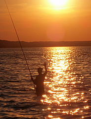 click for enlarge 200 X 260  54,9 Kb picture