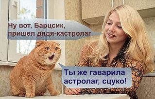 click for enlarge 550 X 354 39,9 Kb picture
