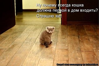 click for enlarge 600 X 399 48,6 Kb picture
