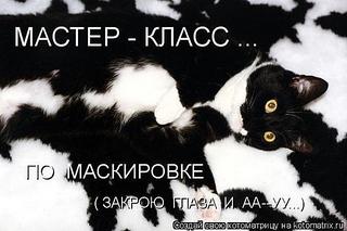 click for enlarge 600 X 400  37,0 Kb picture