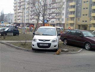 click for enlarge 700 X 525  60,4 Kb picture