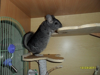 click for enlarge 1024 X 768 436,1 Kb picture