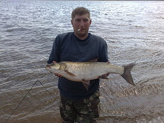 click for enlarge 1920 X 1440 637,0 Kb picture