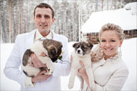 click for enlarge 800 X 534 174,4 Kb picture