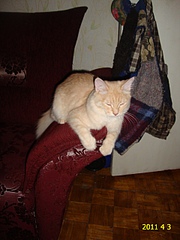click for enlarge 1920 X 2560 232,5 Kb picture