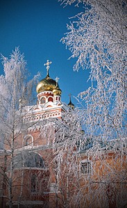 click for enlarge 1511 X 2469 682,3 Kb picture