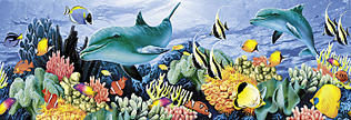 click for enlarge 750 X 255 353,9 Kb picture