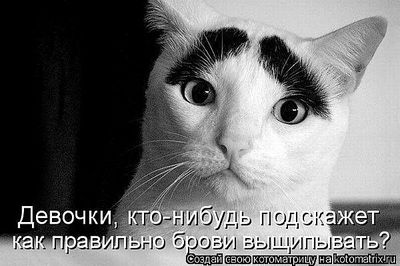 click for enlarge 700 X 466  61,2 Kb picture
