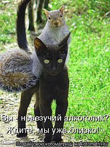 click for enlarge 450 X 600  71,9 Kb picture