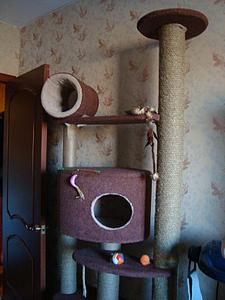click for enlarge 584 X 778 67,5 Kb picture